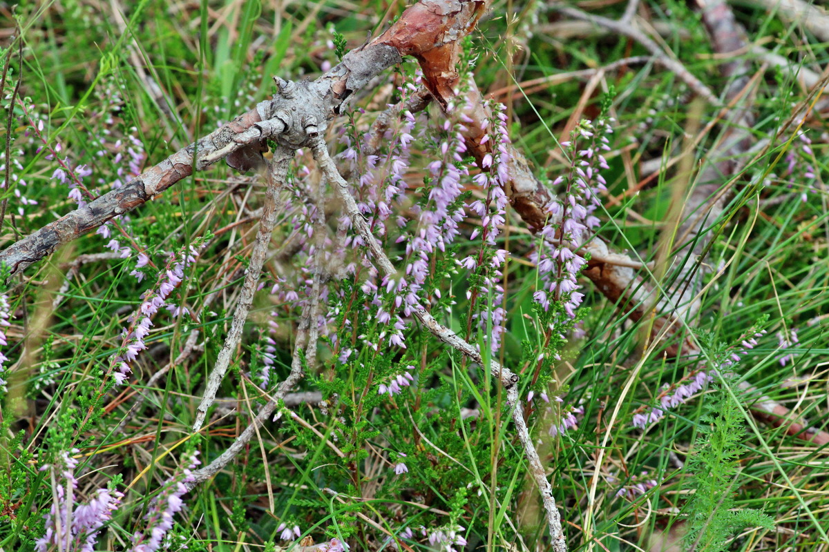 2014_08_09_00048545p_Bildgr��e �ndern