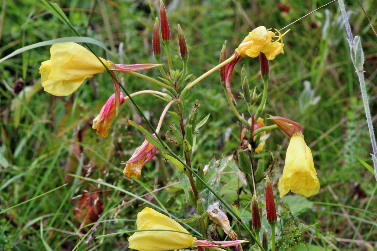 2014_08_09_00048550p_Bildgr��e �ndern