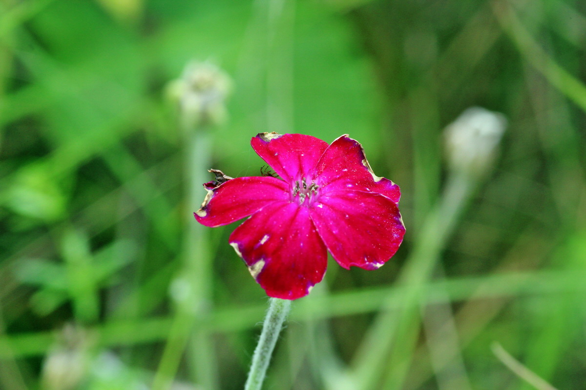 2014_08_09_00048551p_Bildgr��e �ndern