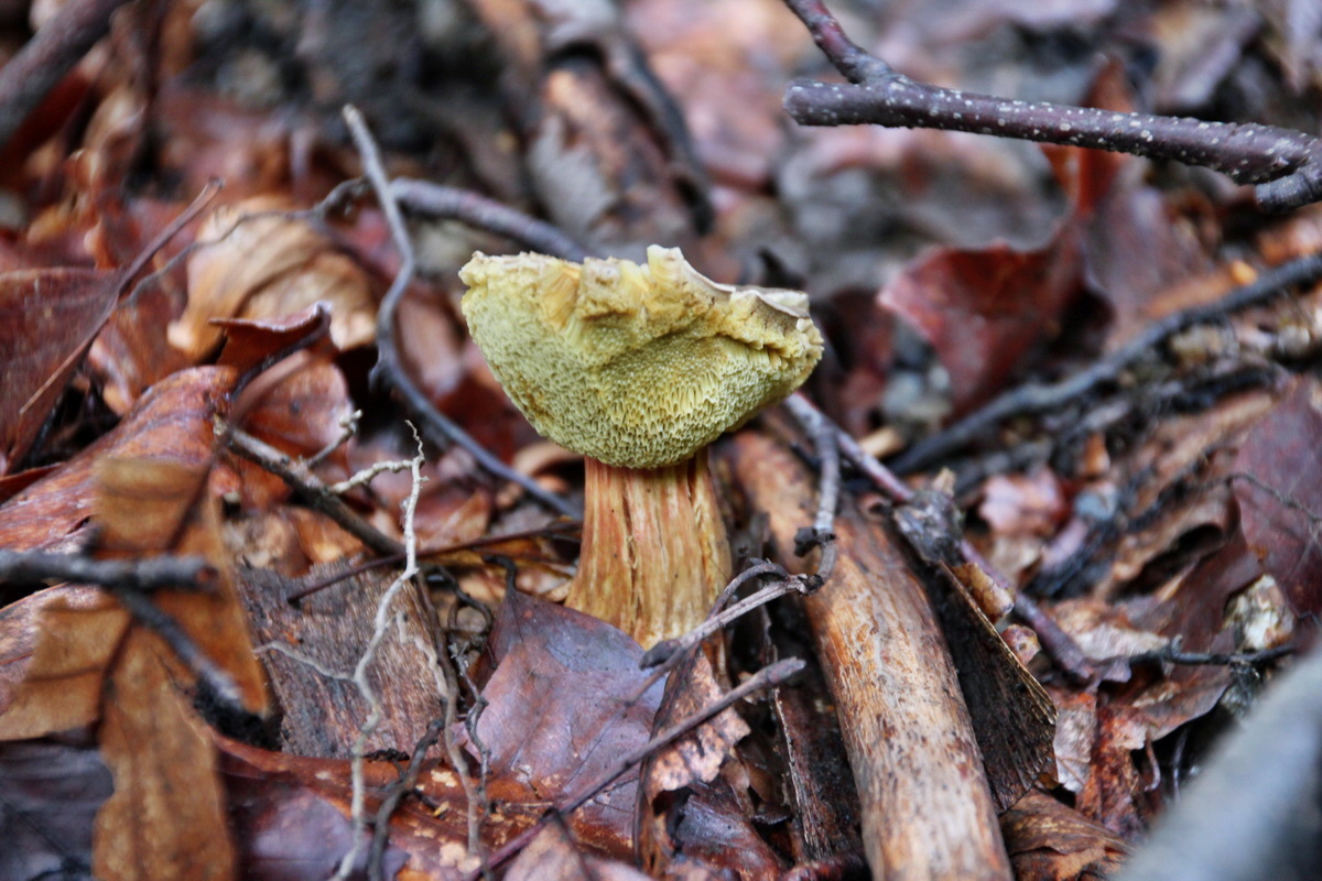 2014_08_11_00049187p_Bildgr��e �ndern