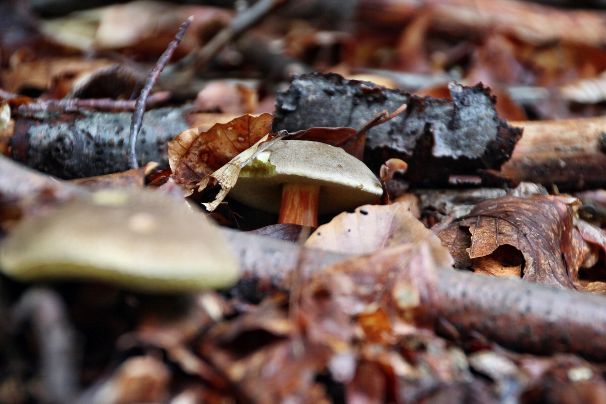 2014_08_11_00049194p_Bildgr��e �ndern