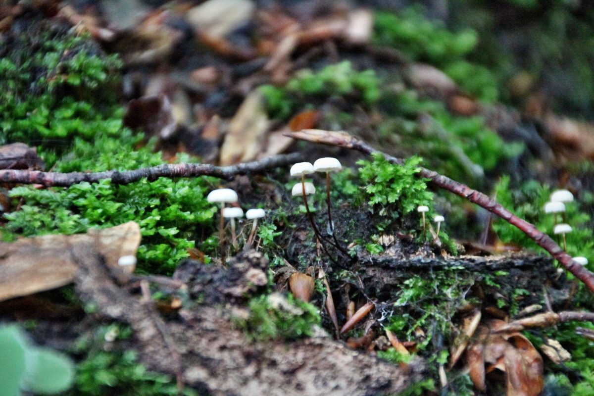 2014_08_11_00049210p_Bildgr��e �ndern