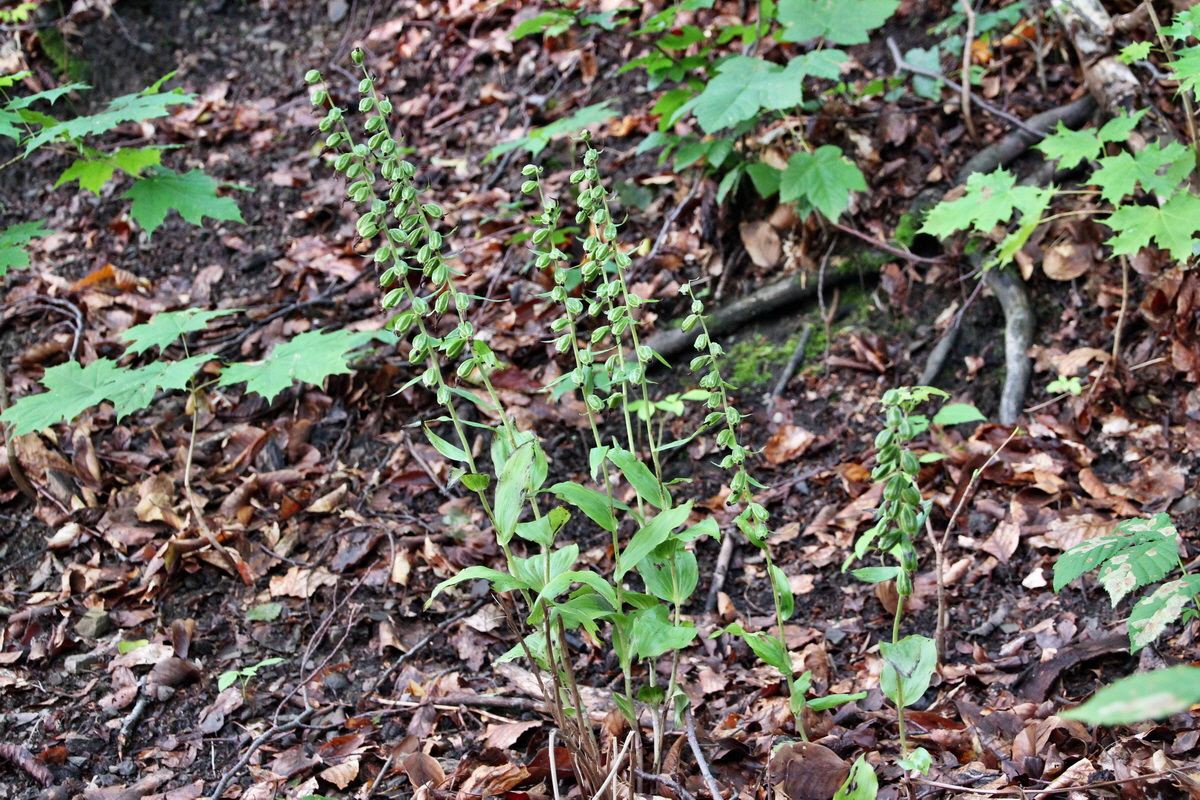 2014_08_11_00049216p_Bildgr��e �ndern