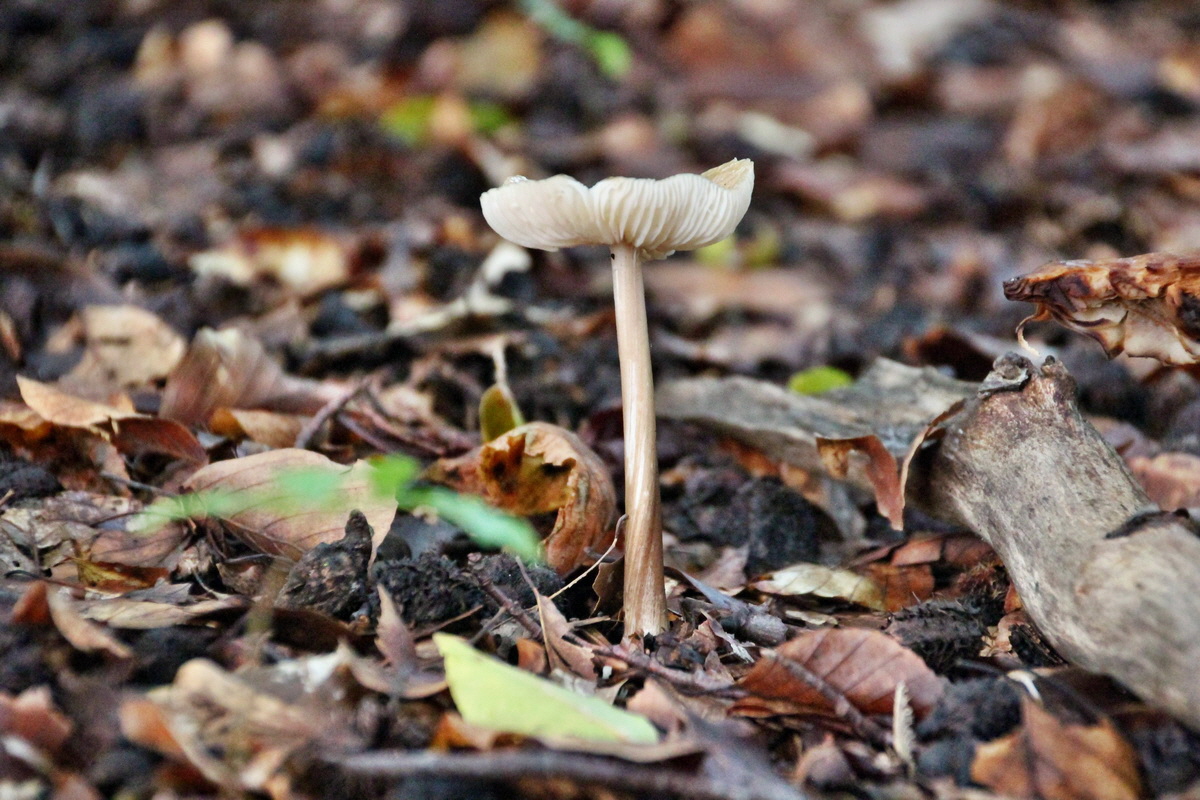 2014_08_11_00049222p_Bildgr��e �ndern