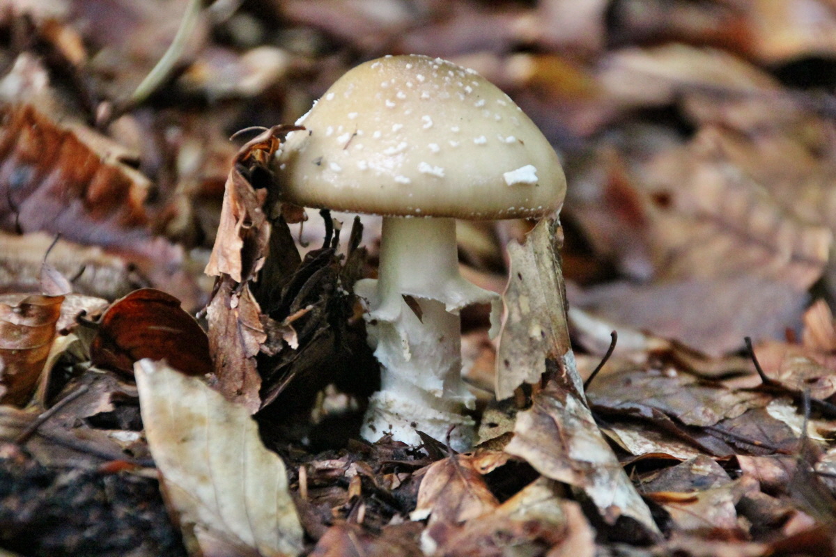 2014_08_11_00049224p_Bildgr��e �ndern