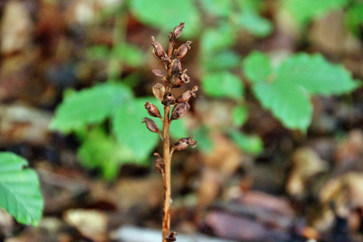 2014_08_11_00049234p_Bildgr��e �ndern