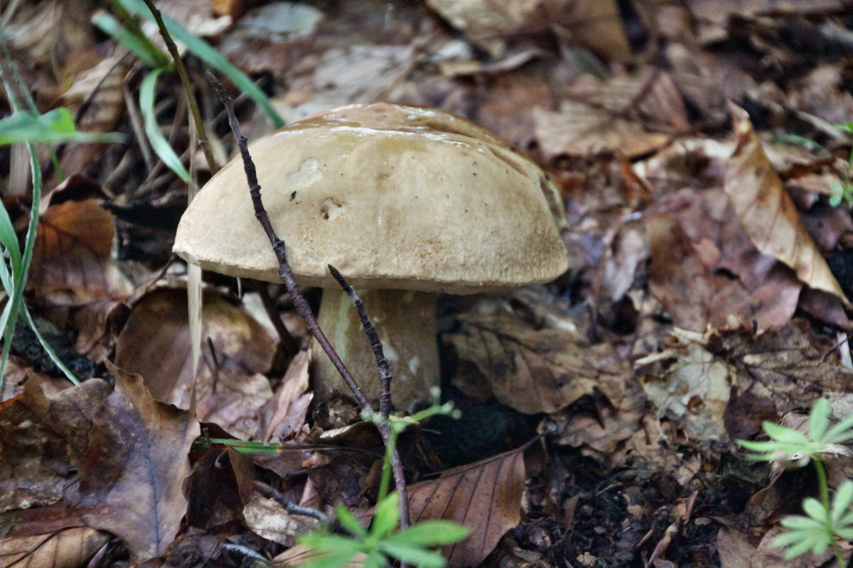 2014_08_11_00049245p_Bildgr��e �ndern