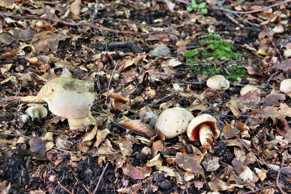 2014_08_11_00049246p_Bildgr��e �ndern