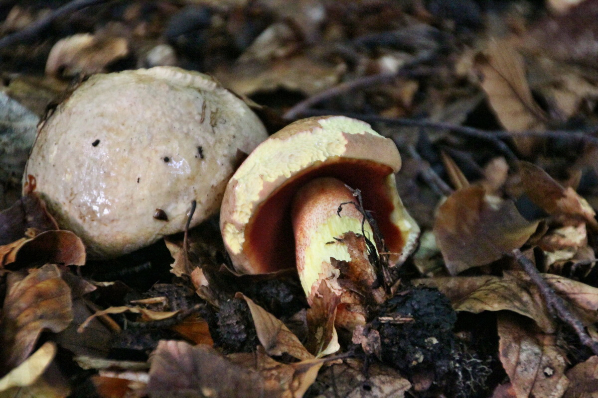 2014_08_11_00049249p_Bildgr��e �ndern