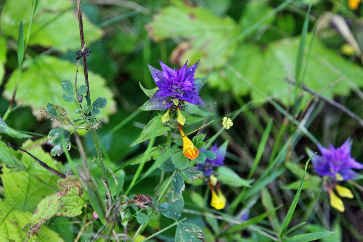 2014_08_12_00049257p_Bildgr��e �ndern