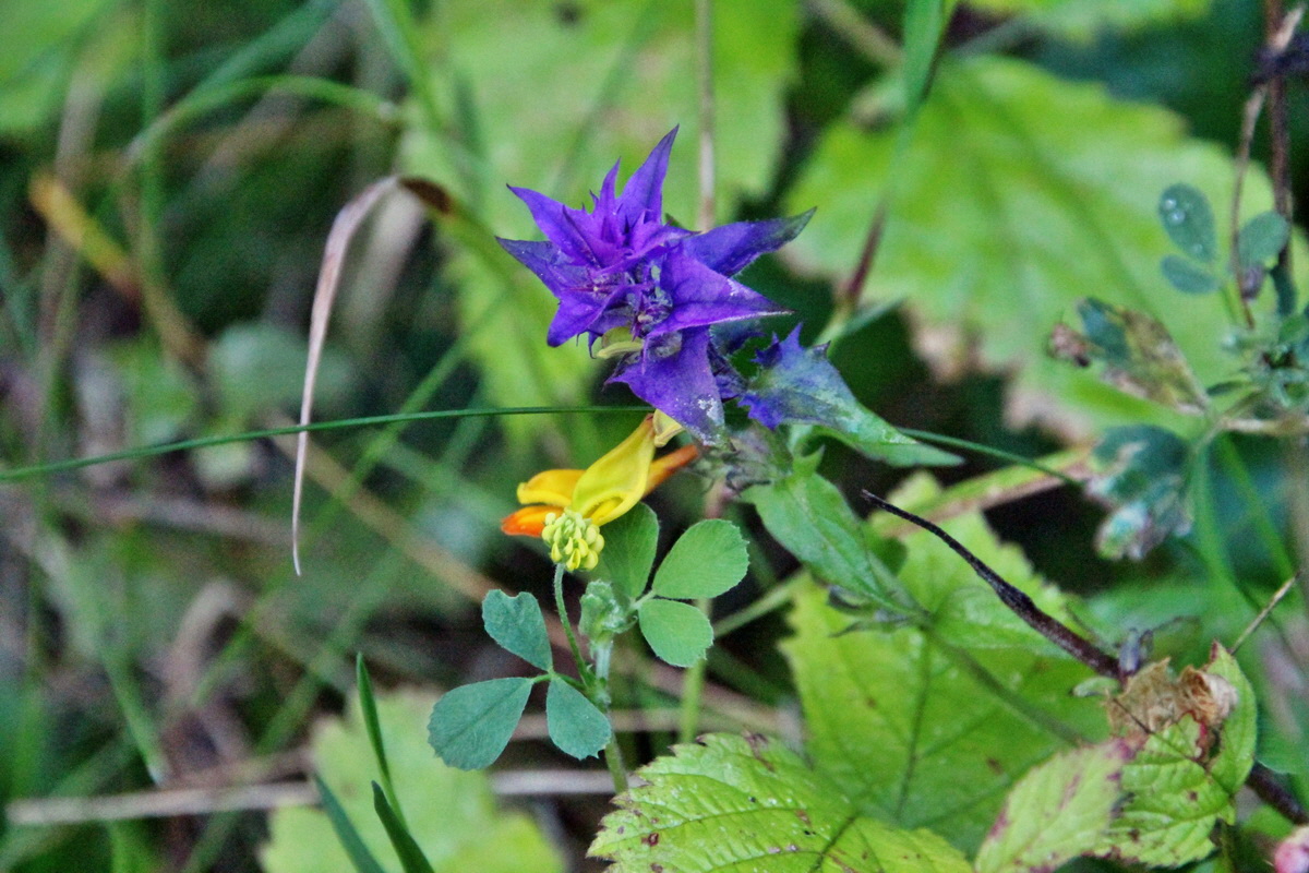 2014_08_12_00049260p_Bildgr��e �ndern