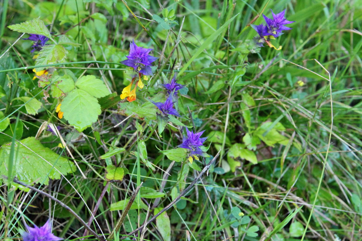 2014_08_12_00049262p_Bildgr��e �ndern