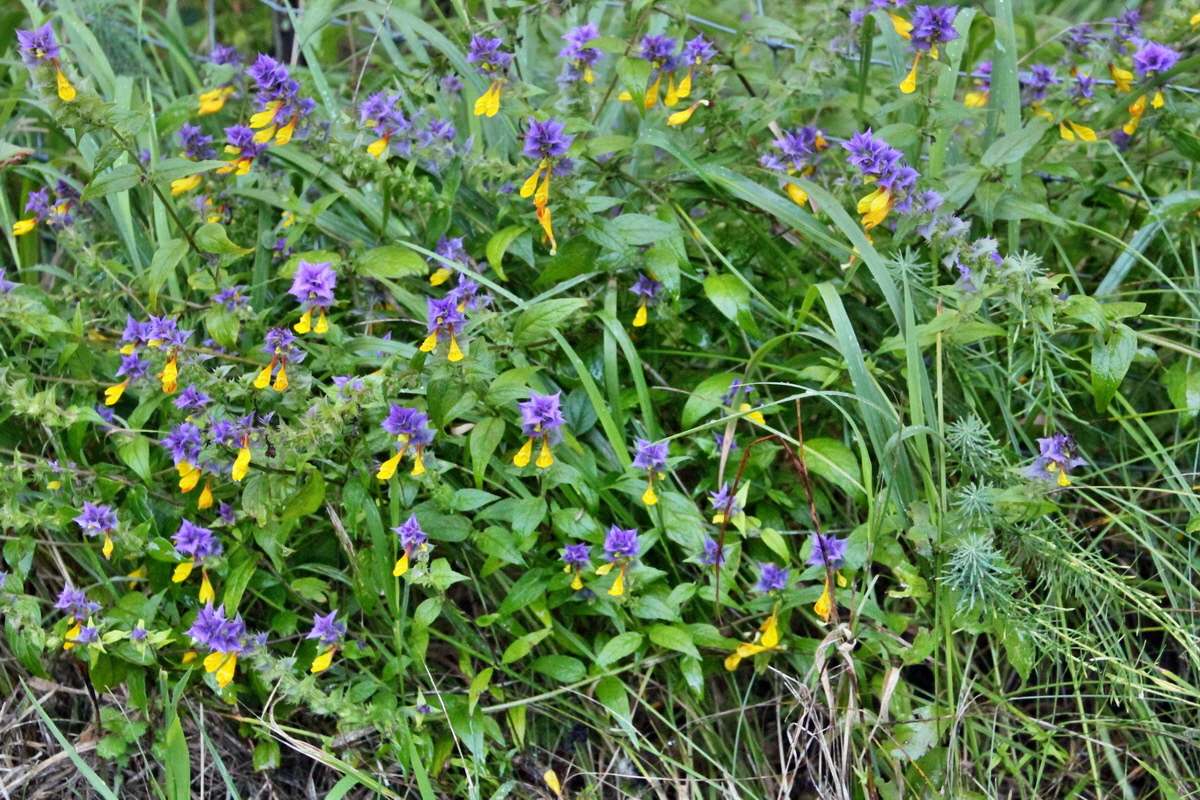 2014_08_12_00049265p_Bildgr��e �ndern