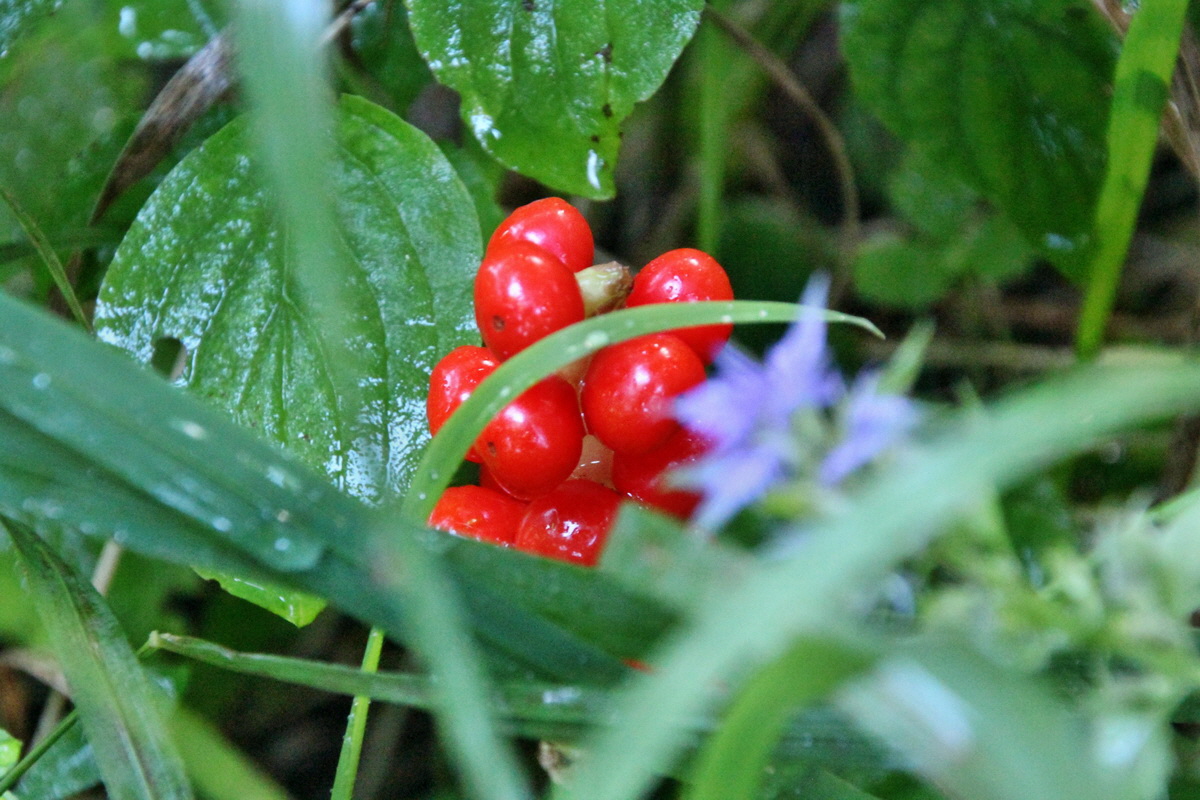 2014_08_12_00049272p_Bildgr��e �ndern