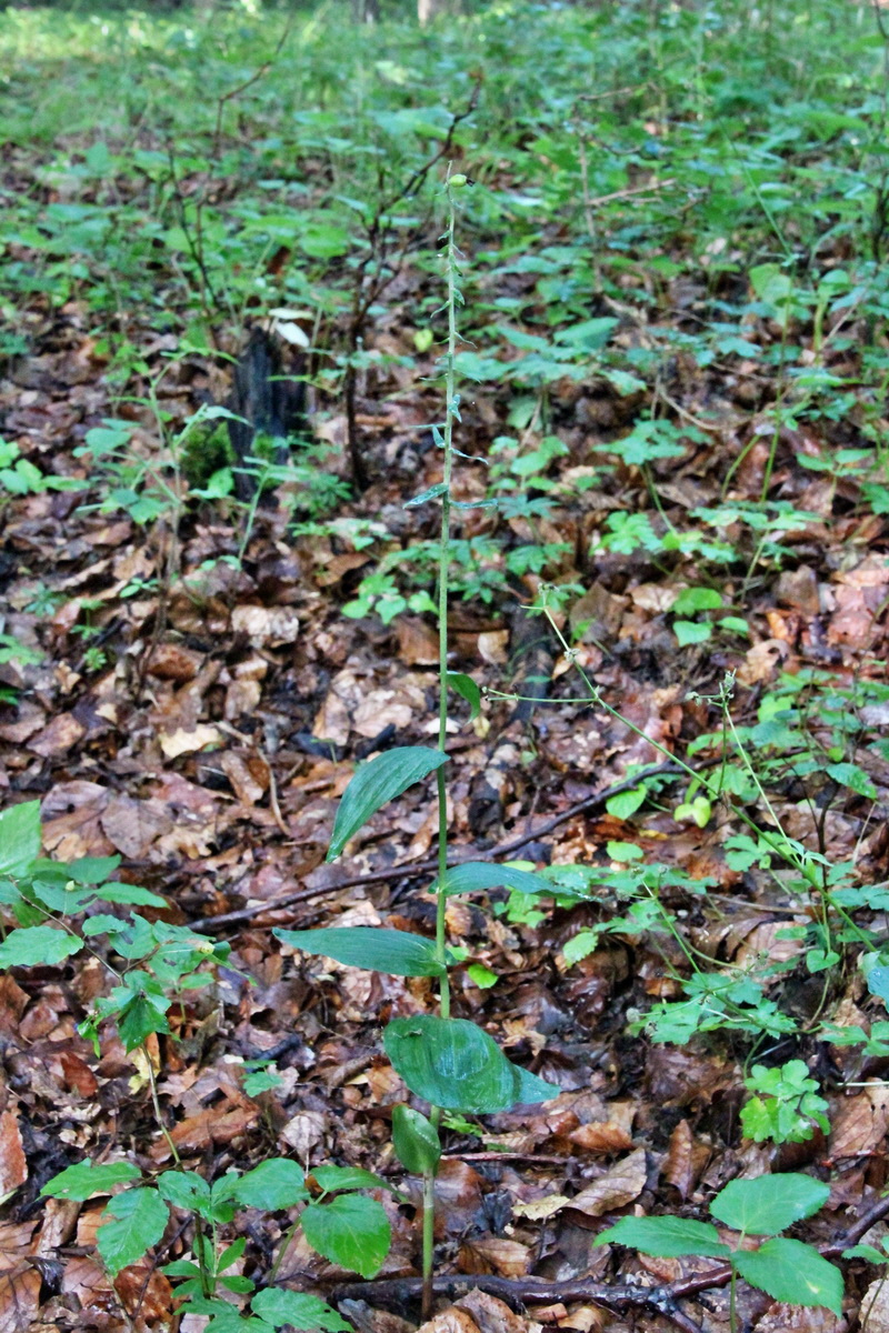 2014_08_12_00049275p_Bildgr��e �ndern