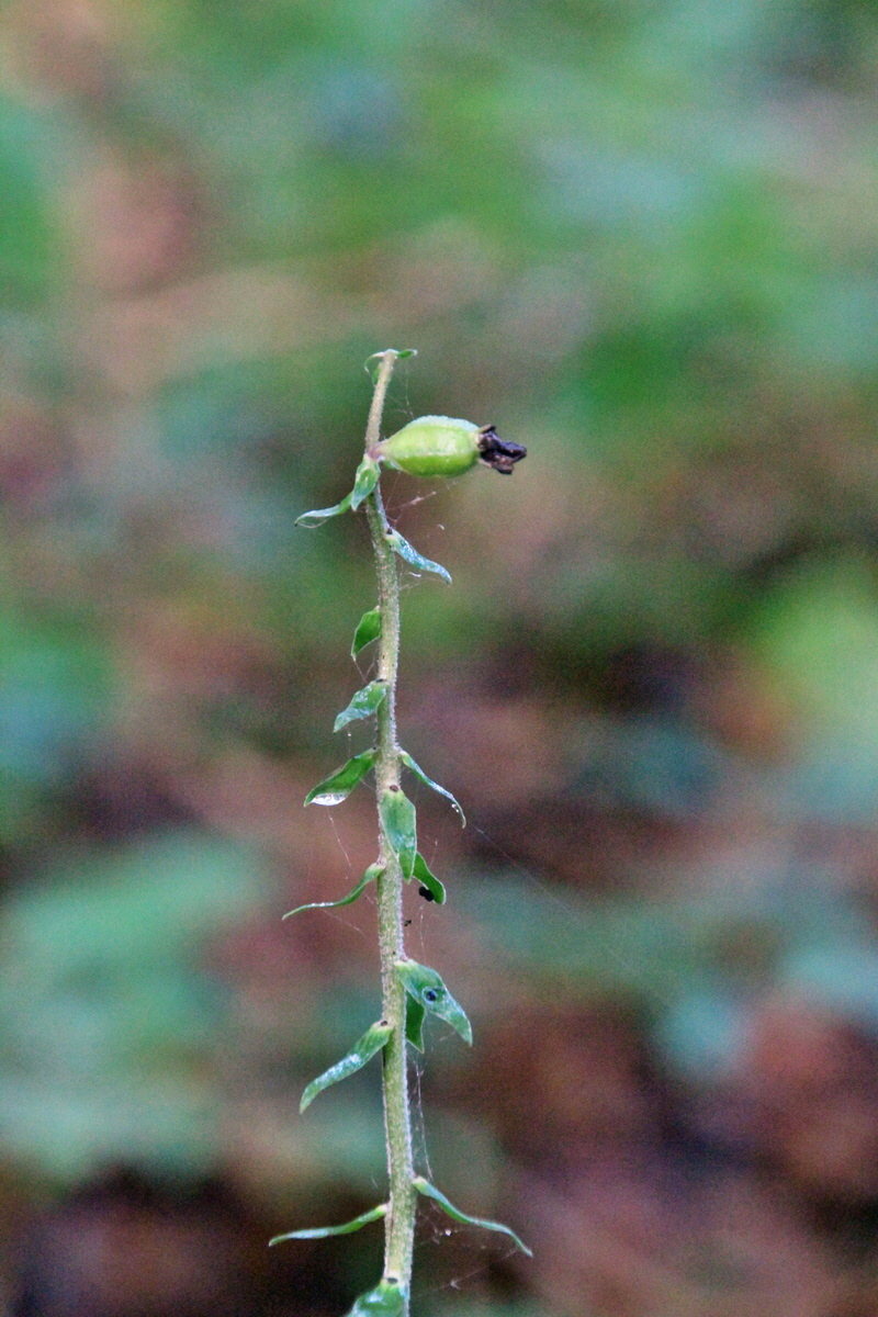 2014_08_12_00049276p_Bildgr��e �ndern