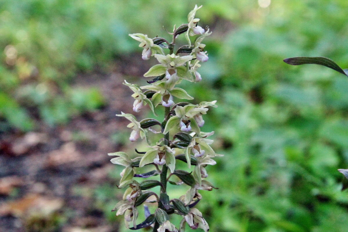 2014_08_12_00049280p_Bildgr��e �ndern