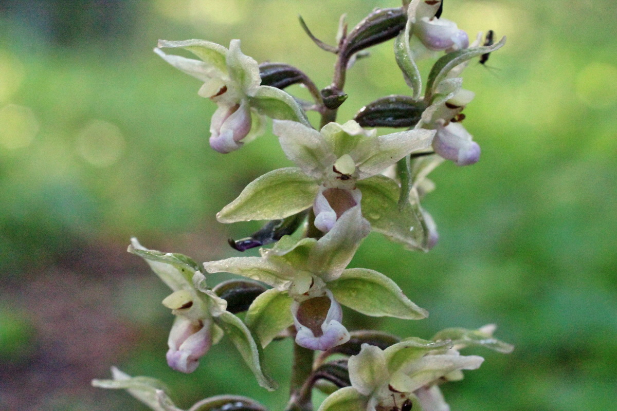 2014_08_12_00049284p_Bildgr��e �ndern