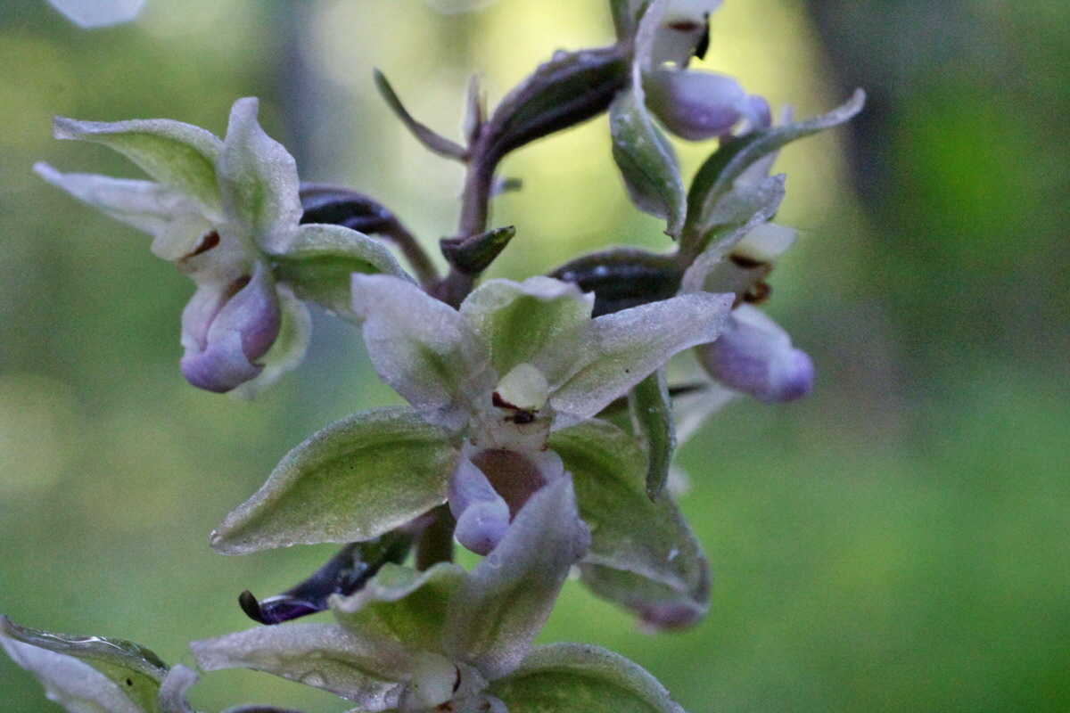 2014_08_12_00049288p_Bildgr��e �ndern