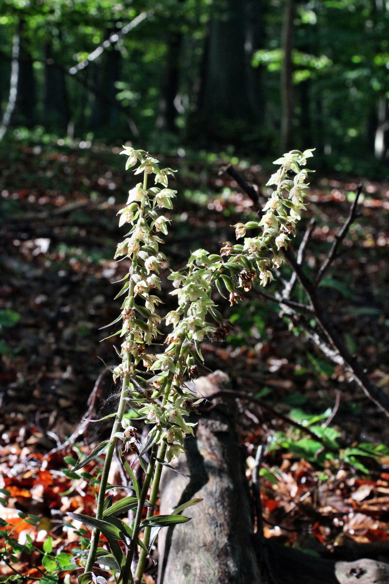 2014_08_12_00049297p_Bildgr��e �ndern