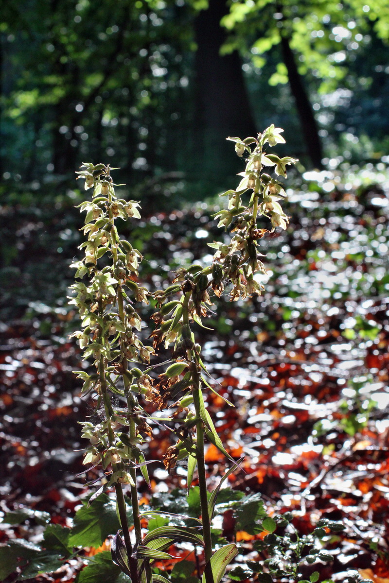 2014_08_12_00049300p_Bildgr��e �ndern