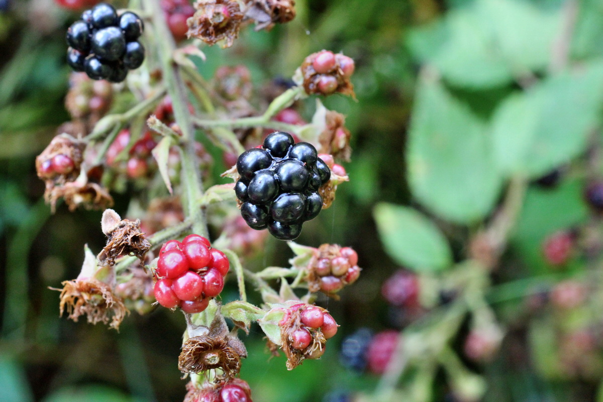 2014_08_12_00049306p_Bildgr��e �ndern