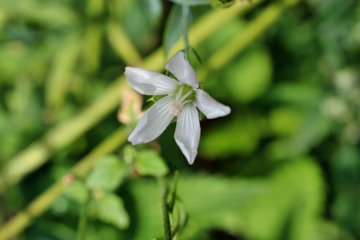 2014_08_12_00049308p_Bildgr��e �ndern