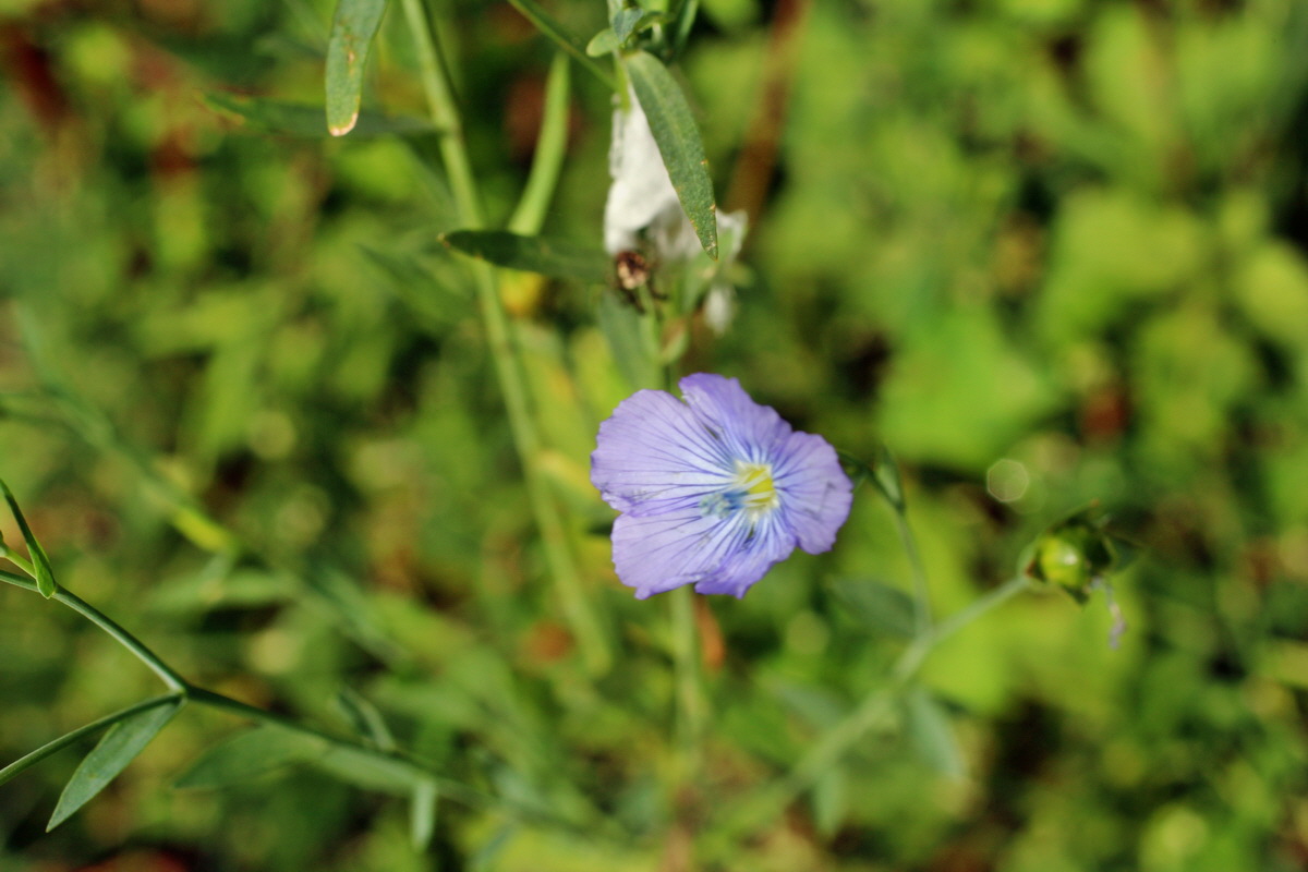 2014_08_12_00049311p_Bildgr��e �ndern