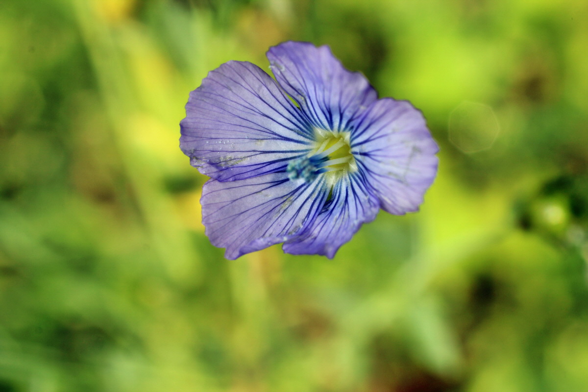 2014_08_12_00049316p_Bildgr��e �ndern