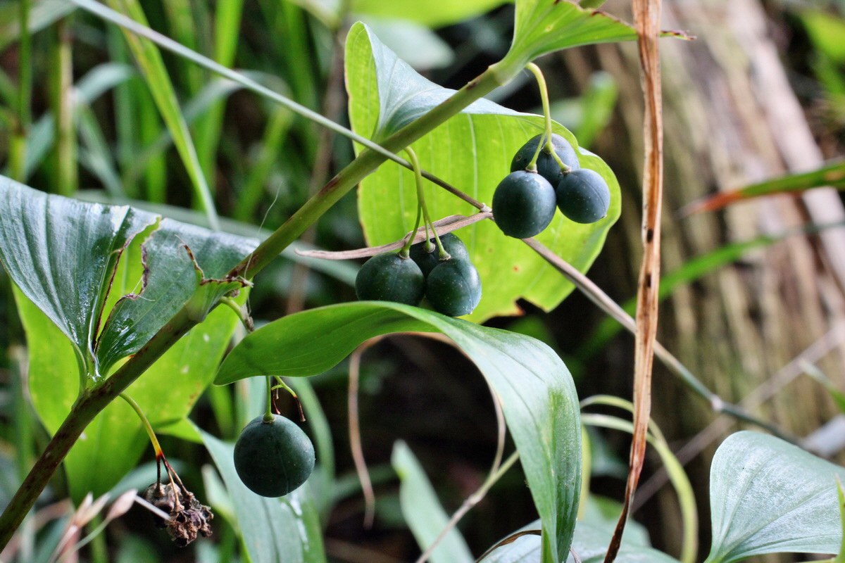 2014_08_12_00049327p_Bildgr��e �ndern