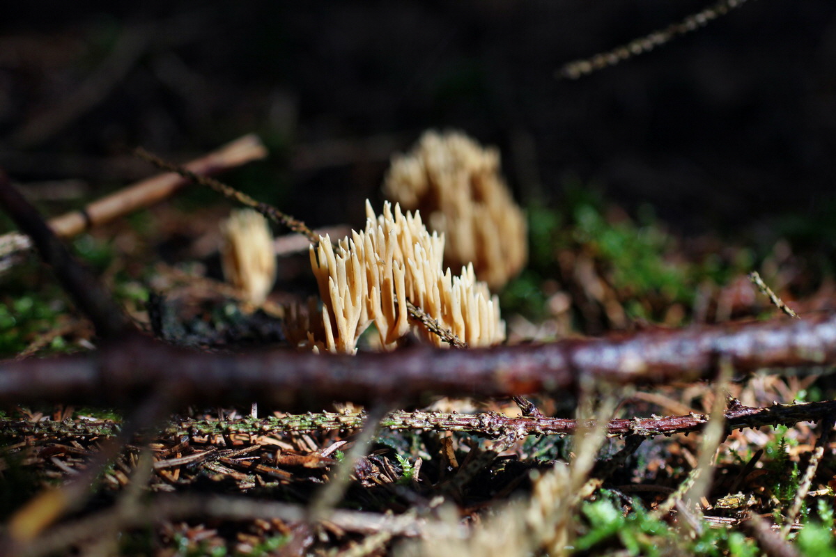 2014_08_14_00049354p_Bildgr��e �ndern