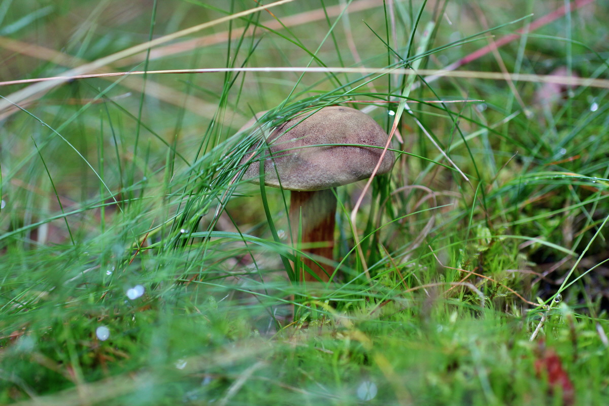 2014_08_14_00049364p_Bildgr��e �ndern