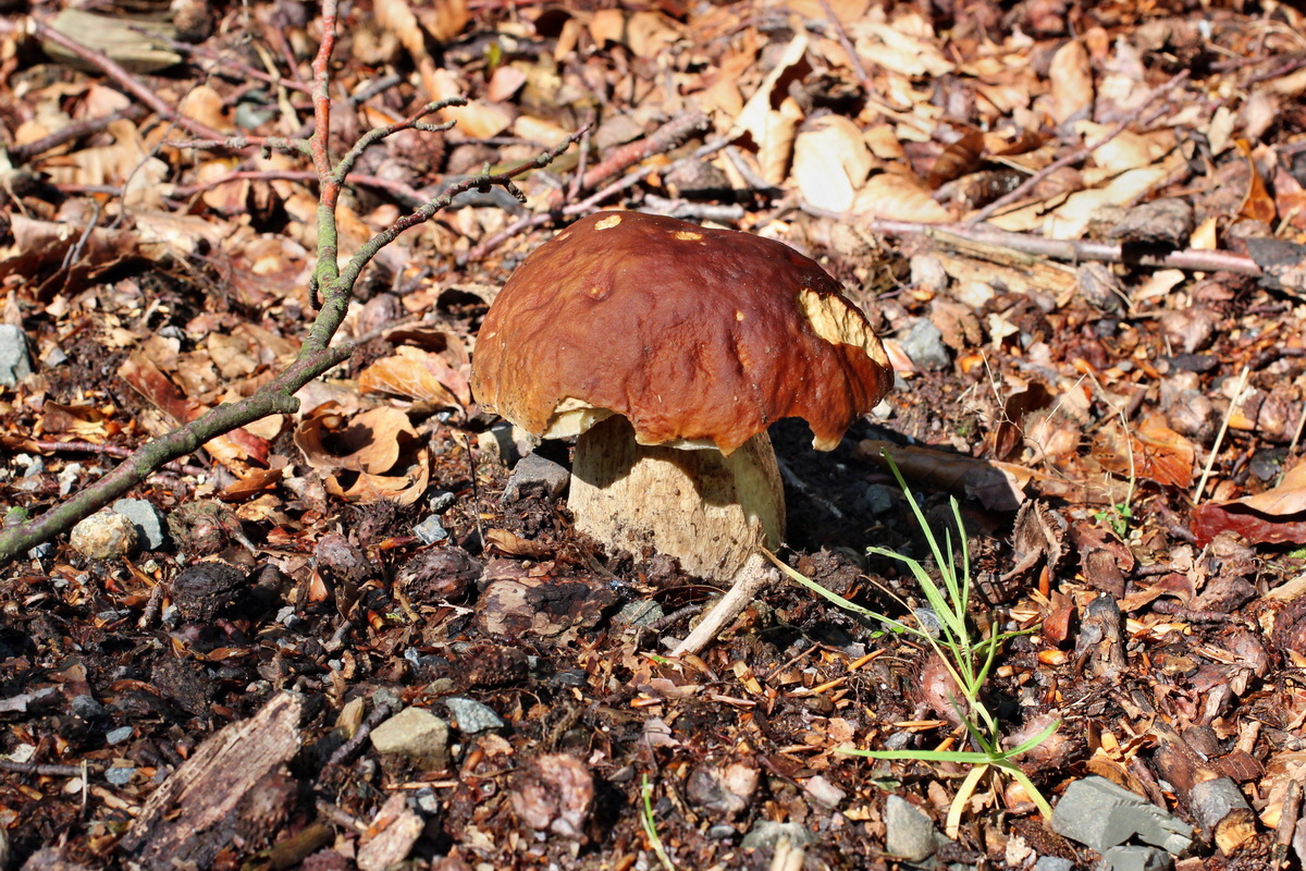 2014_08_14_00049376p_Bildgr��e �ndern