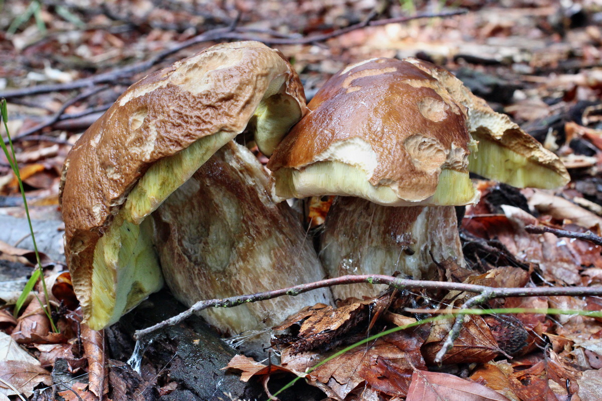 2014_08_14_00049383p_Bildgr��e �ndern