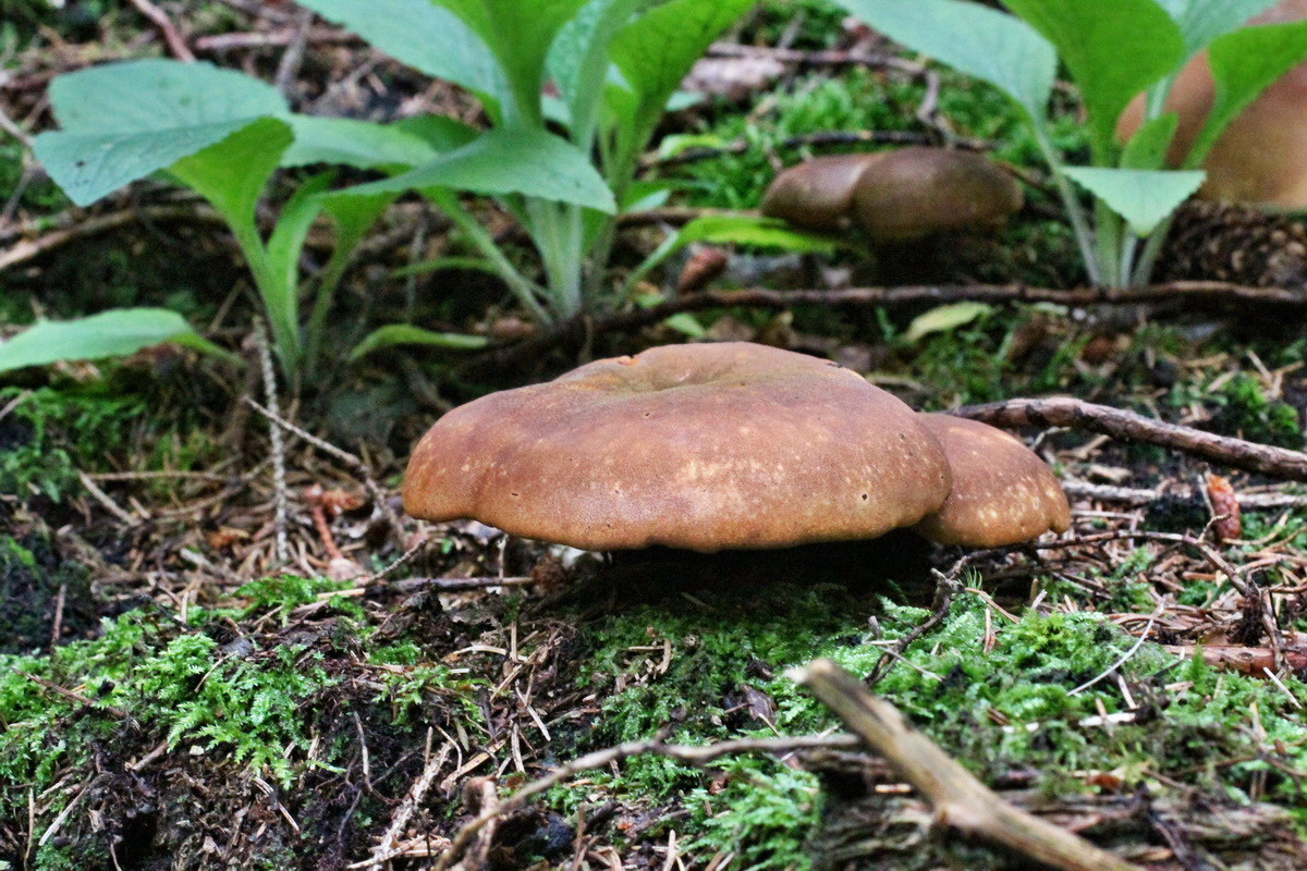 2014_08_14_00049388p_Bildgr��e �ndern