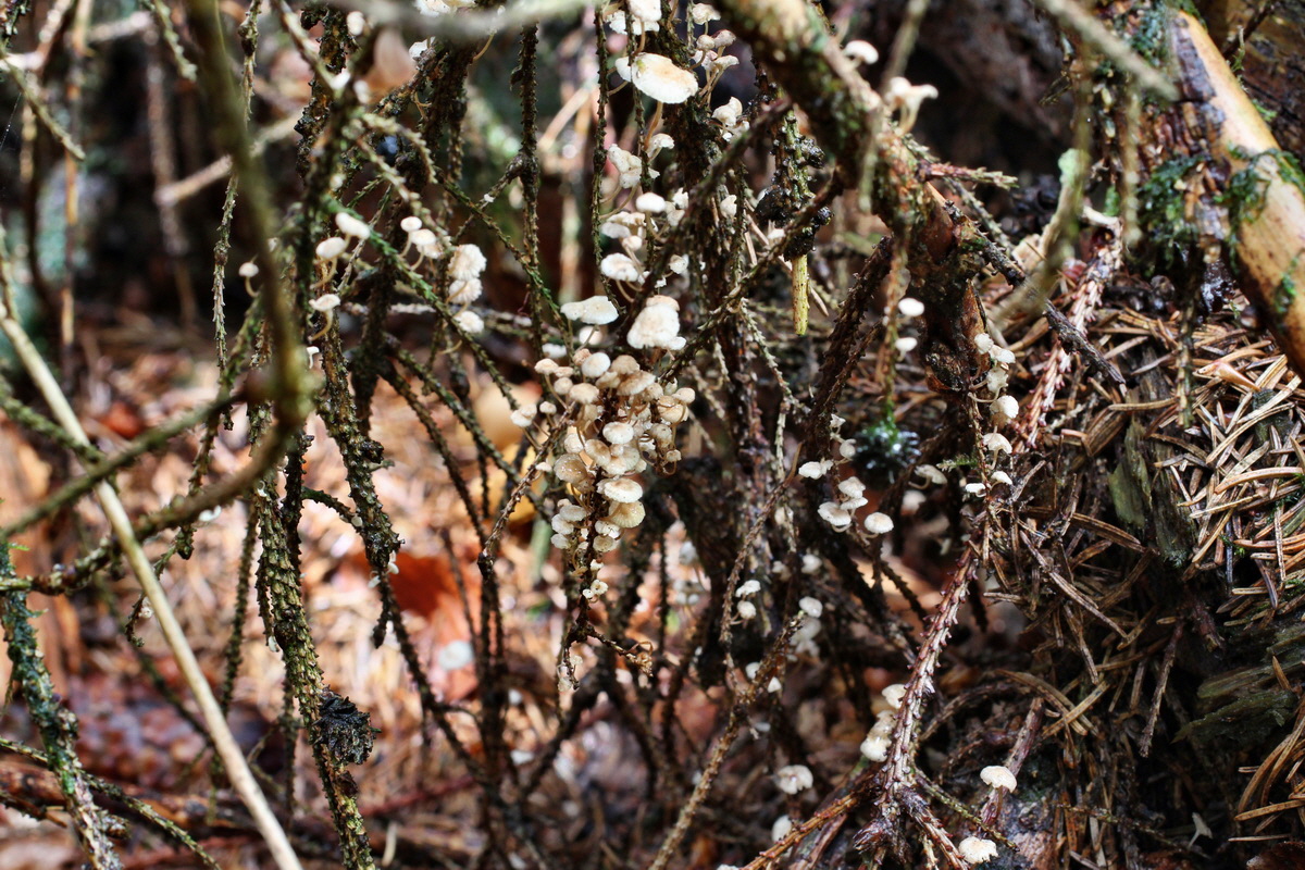 2014_08_14_00049395p_Bildgr��e �ndern