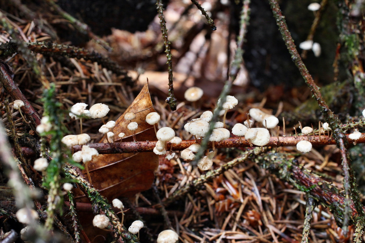 2014_08_14_00049398p_Bildgr��e �ndern