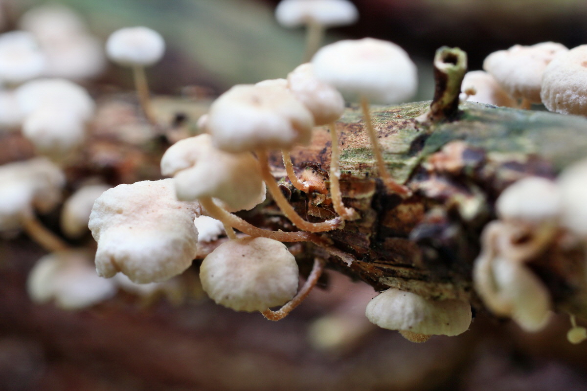 2014_08_14_00049406p_Bildgr��e �ndern