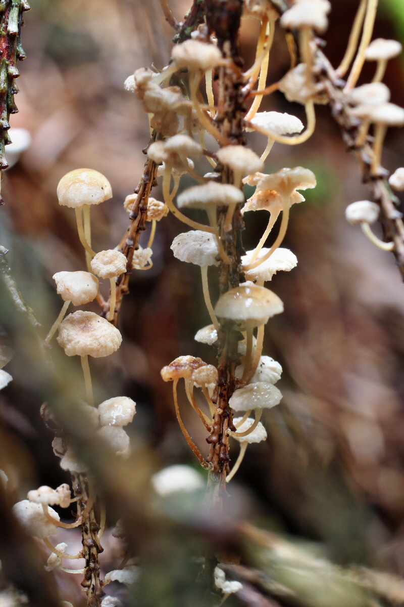 2014_08_14_00049416p_Bildgr��e �ndern