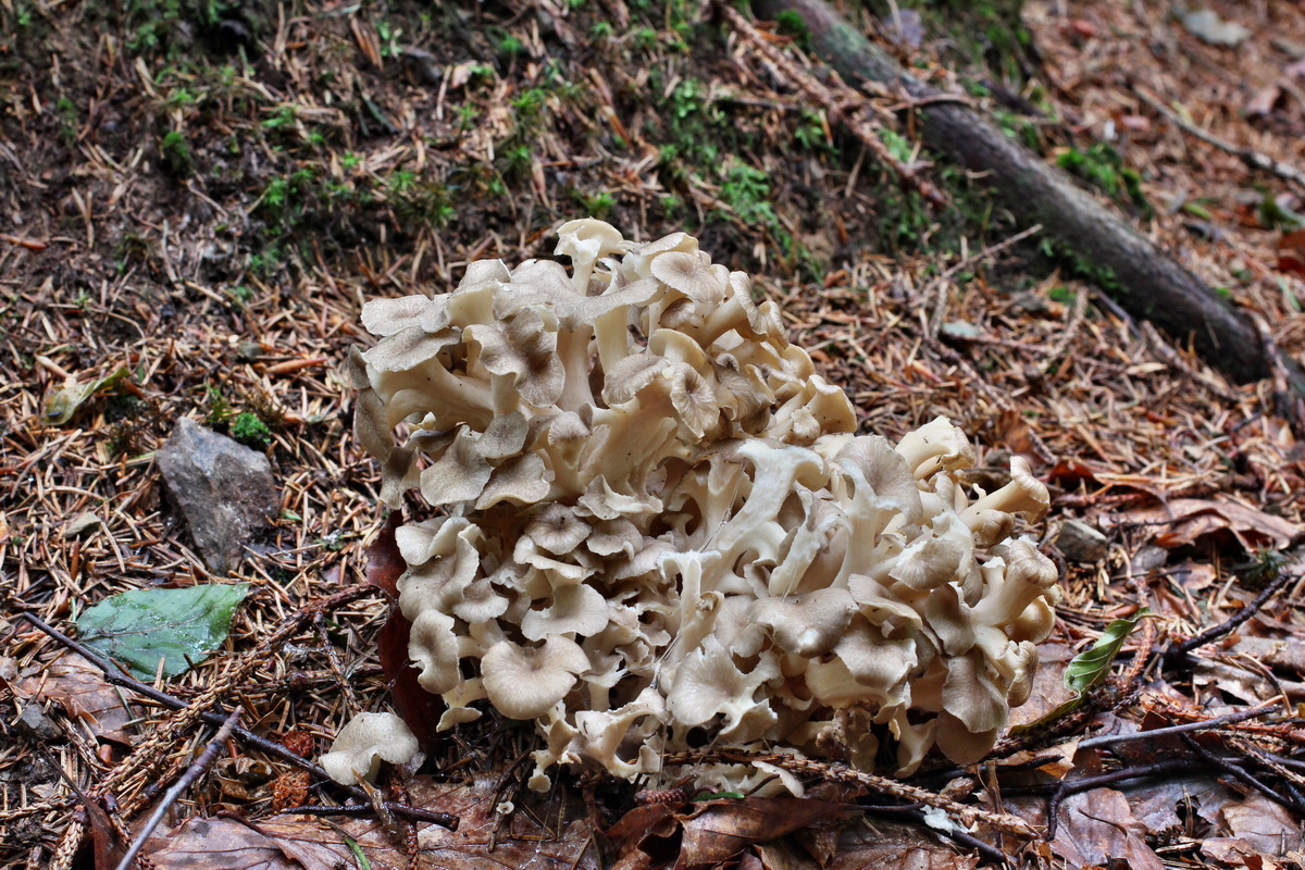 2014_08_14_00049440p_Bildgr��e �ndern