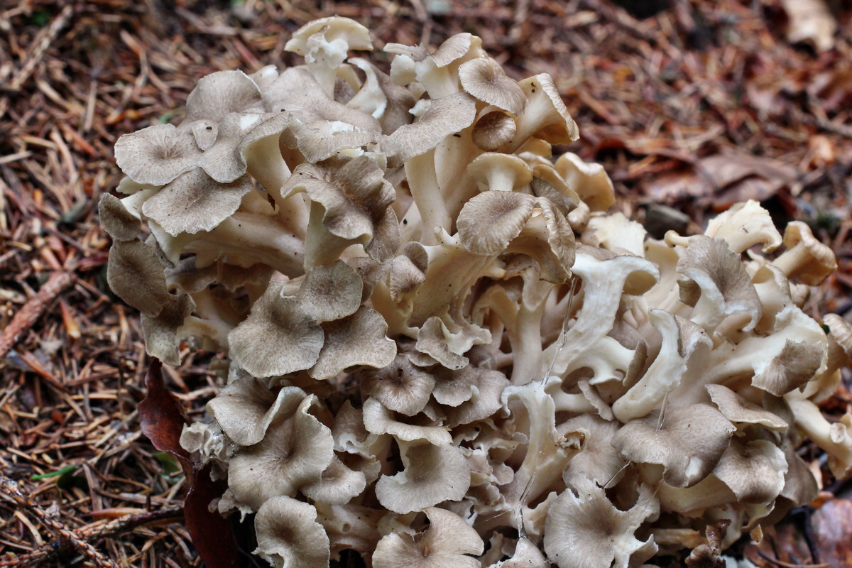 2014_08_14_00049445p_Bildgr��e �ndern