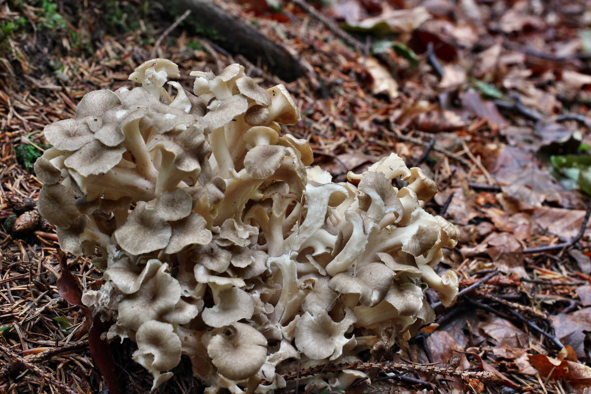 2014_08_14_00049451p_Bildgr��e �ndern