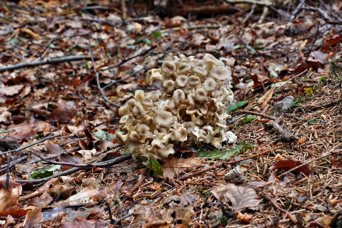 2014_08_14_00049455p_Bildgr��e �ndern