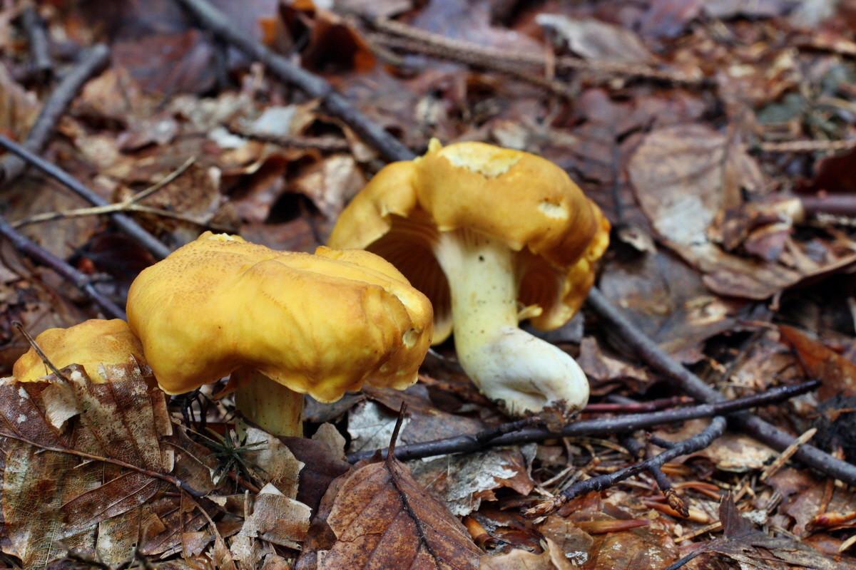 2014_08_14_00049461p_Bildgr��e �ndern