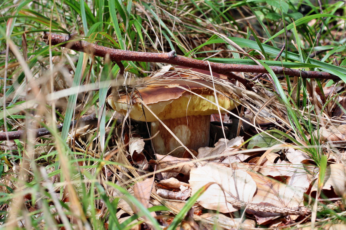 2014_08_14_00049465p_Bildgr��e �ndern