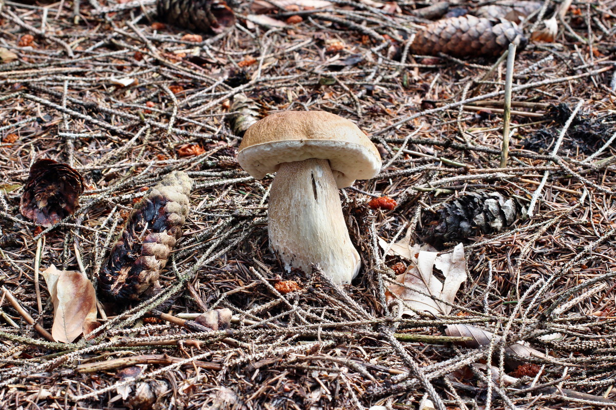 2014_08_14_00049483p_Bildgr��e �ndern