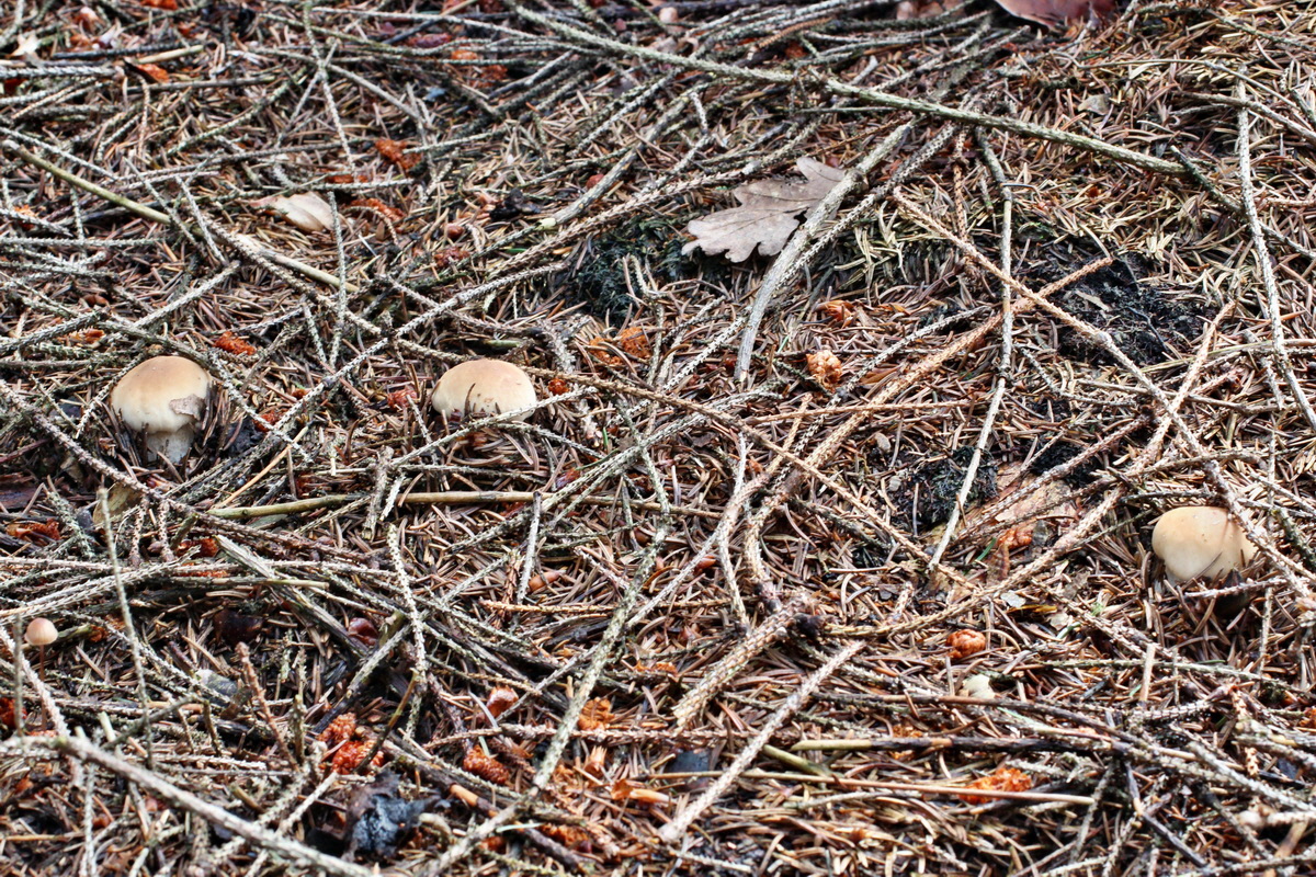 2014_08_14_00049488p_Bildgr��e �ndern