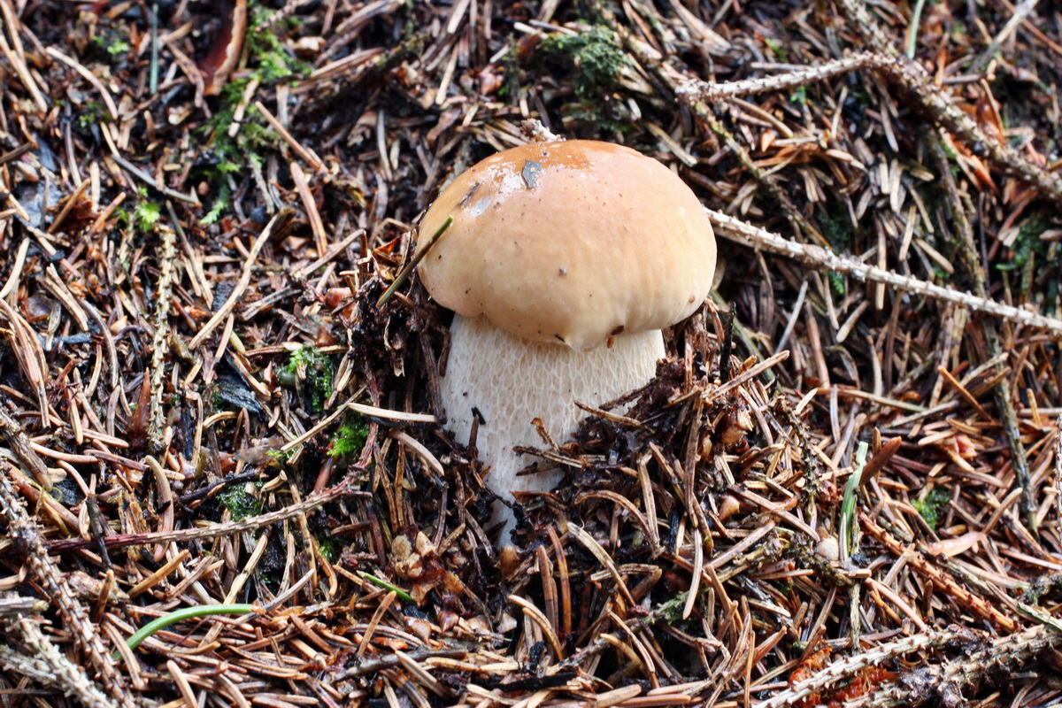 2014_08_14_00049494p_Bildgr��e �ndern