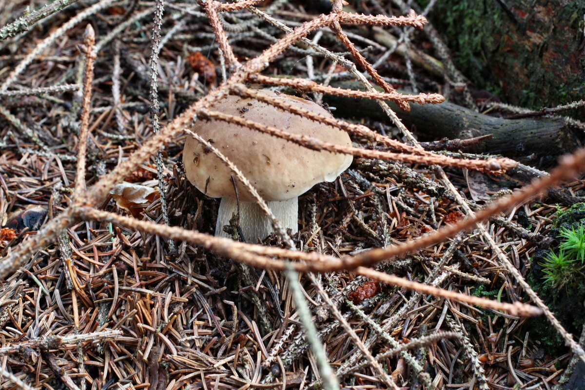 2014_08_14_00049497p_Bildgr��e �ndern