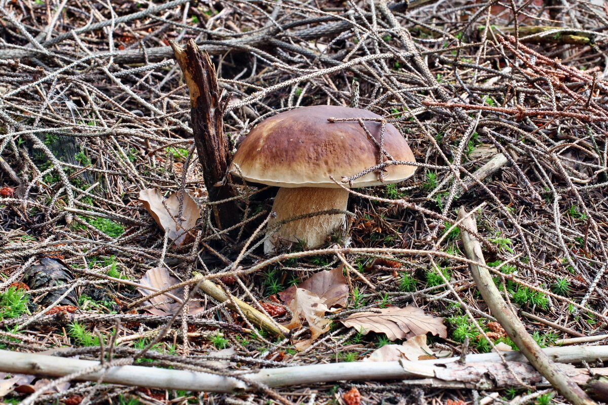 2014_08_14_00049500p_Bildgr��e �ndern